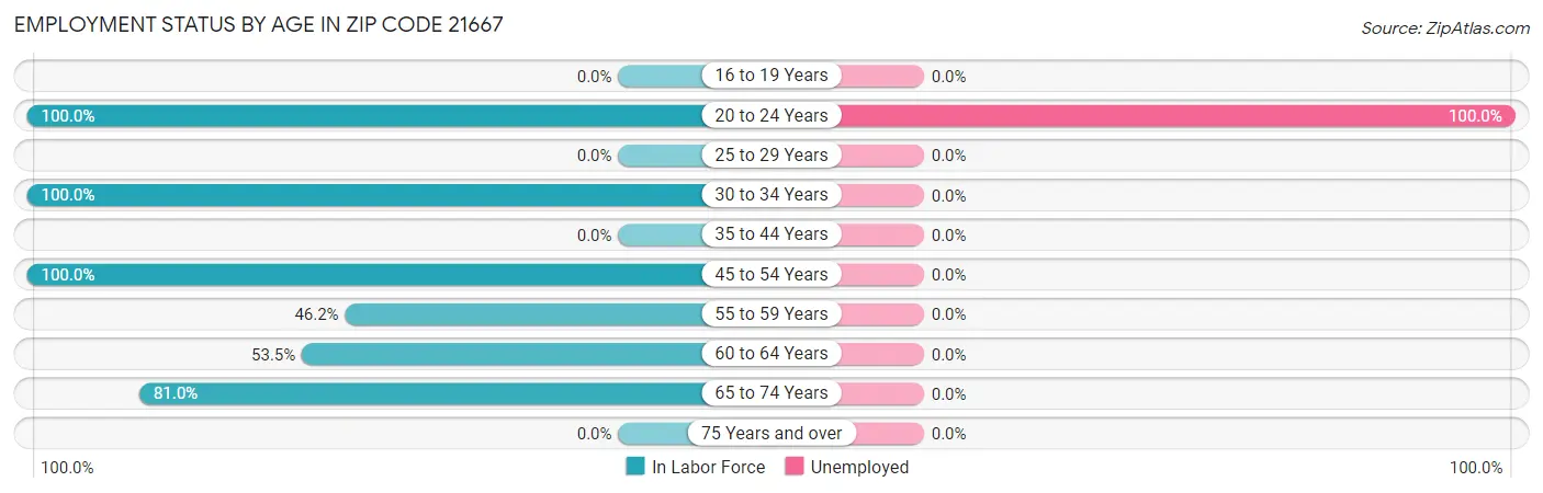 Employment Status by Age in Zip Code 21667