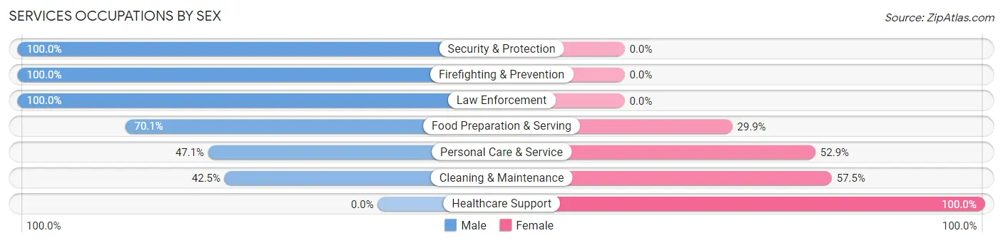 Services Occupations by Sex in Zip Code 21673