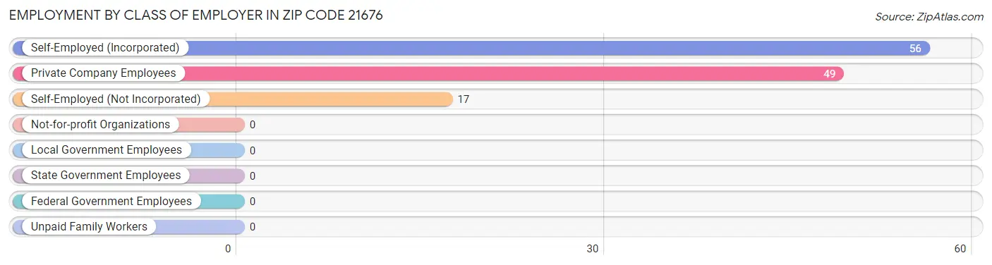 Employment by Class of Employer in Zip Code 21676