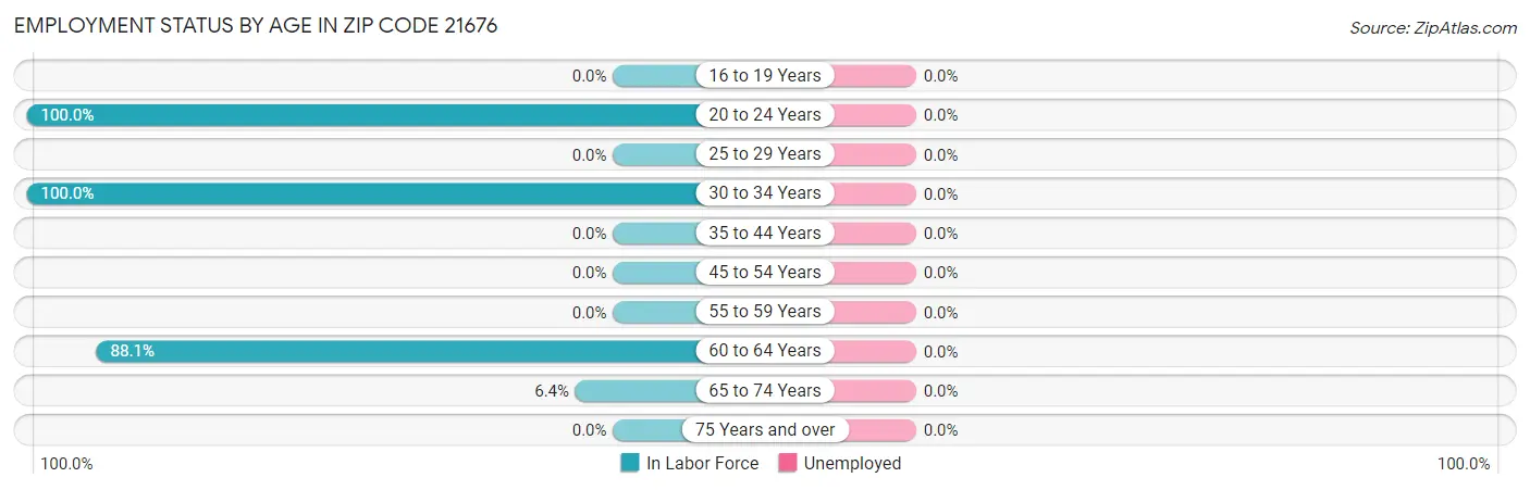 Employment Status by Age in Zip Code 21676