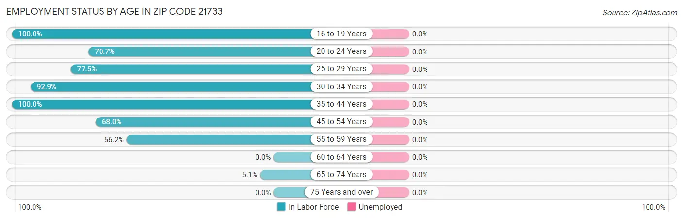 Employment Status by Age in Zip Code 21733