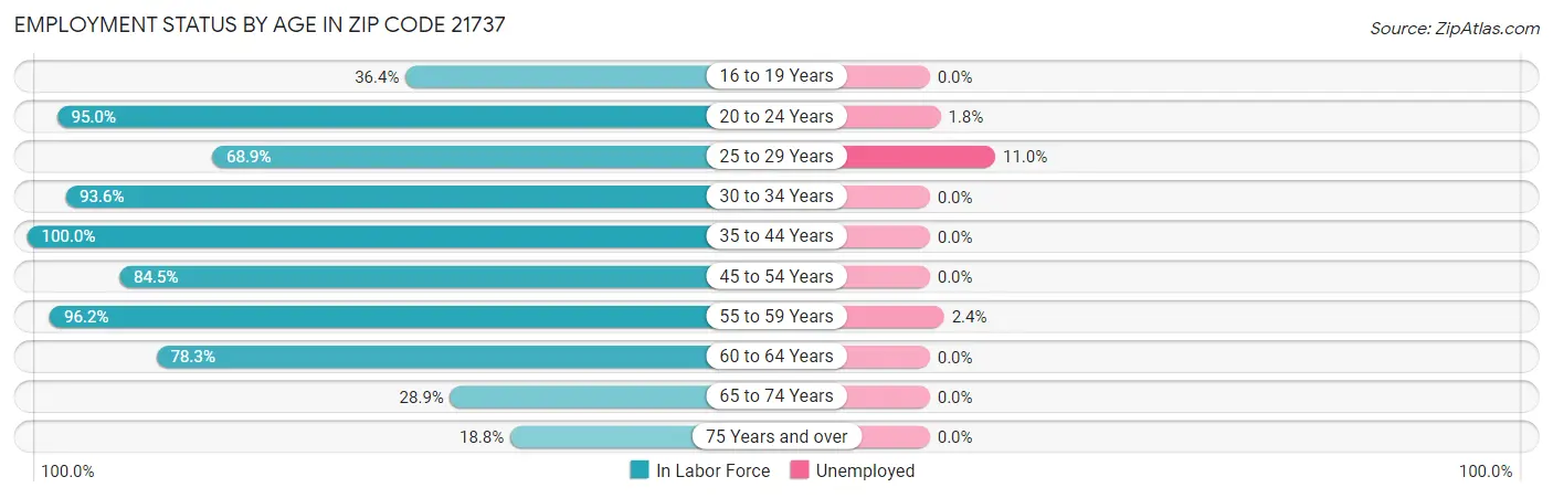 Employment Status by Age in Zip Code 21737