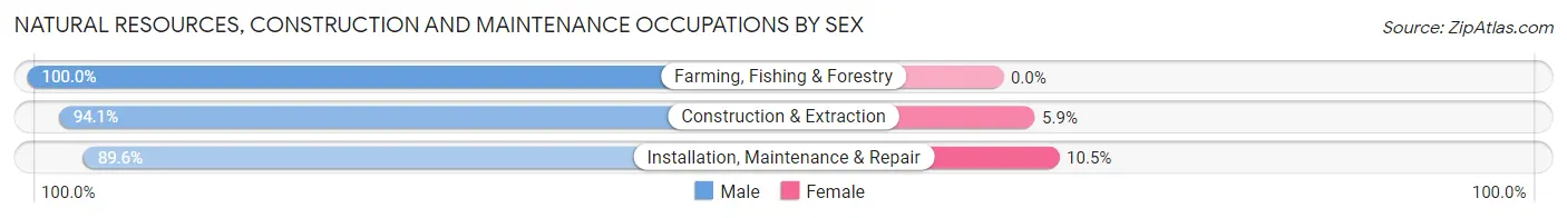 Natural Resources, Construction and Maintenance Occupations by Sex in Zip Code 21757