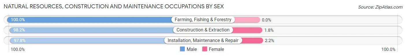 Natural Resources, Construction and Maintenance Occupations by Sex in Zip Code 21771
