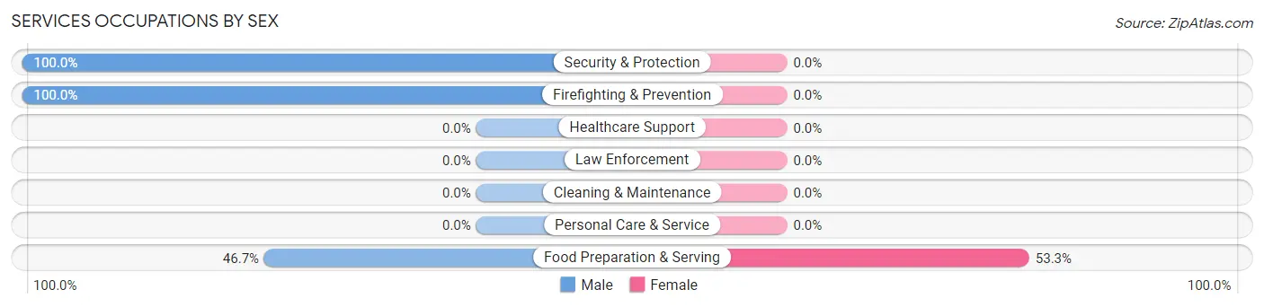 Services Occupations by Sex in Zip Code 21778