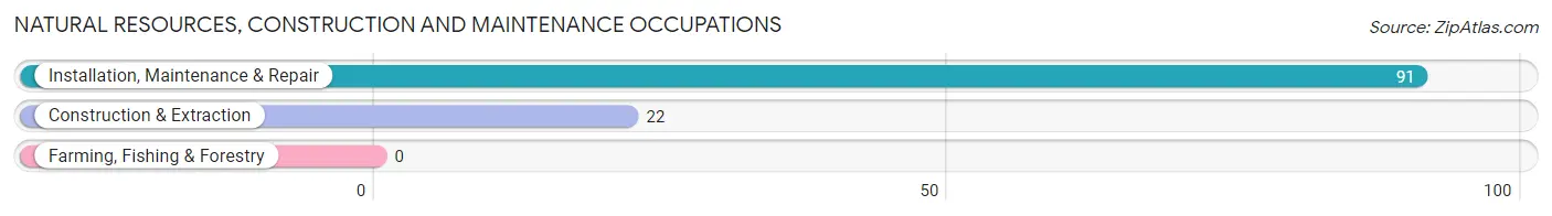 Natural Resources, Construction and Maintenance Occupations in Zip Code 21779