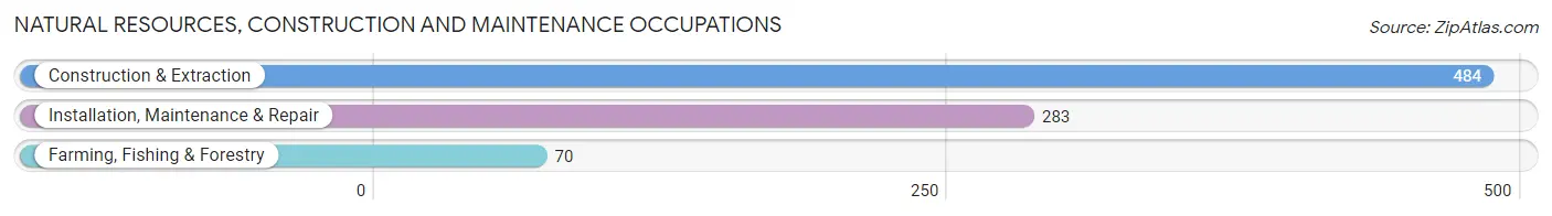 Natural Resources, Construction and Maintenance Occupations in Zip Code 21788