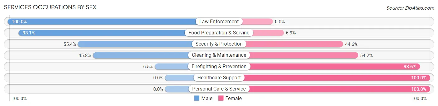 Services Occupations by Sex in Zip Code 21837