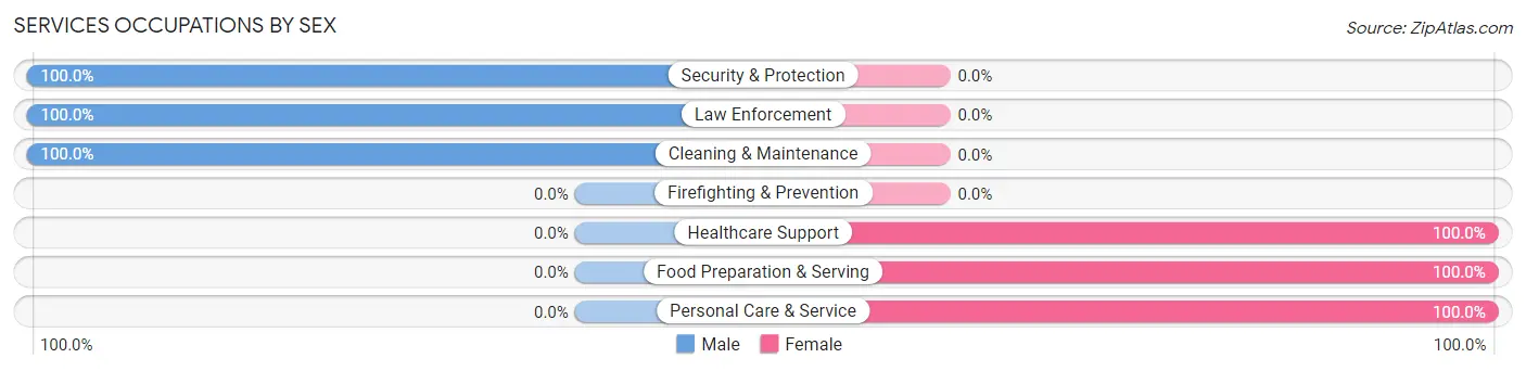 Services Occupations by Sex in Zip Code 21838