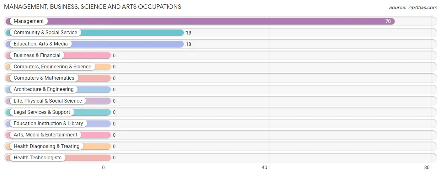 Management, Business, Science and Arts Occupations in Zip Code 21840