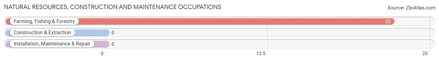 Natural Resources, Construction and Maintenance Occupations in Zip Code 21866