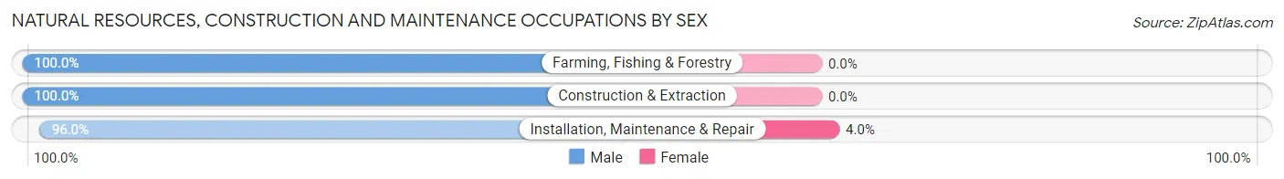 Natural Resources, Construction and Maintenance Occupations by Sex in Zip Code 21874
