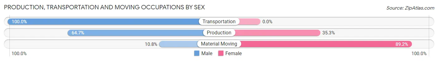 Production, Transportation and Moving Occupations by Sex in Zip Code 21874
