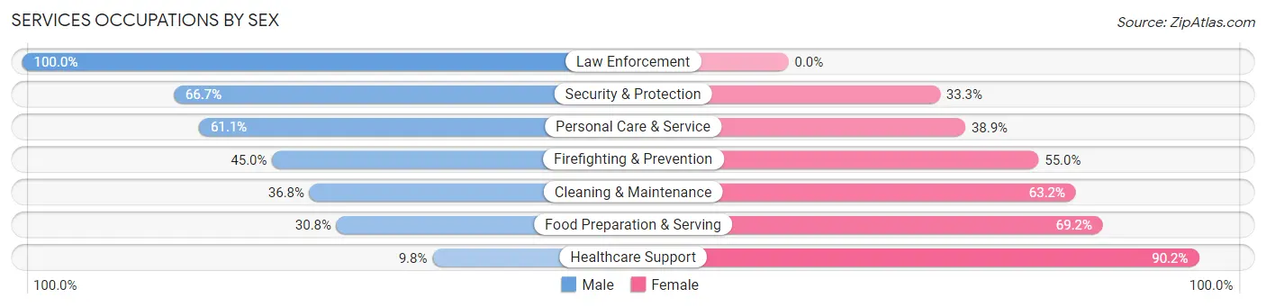 Services Occupations by Sex in Zip Code 21904
