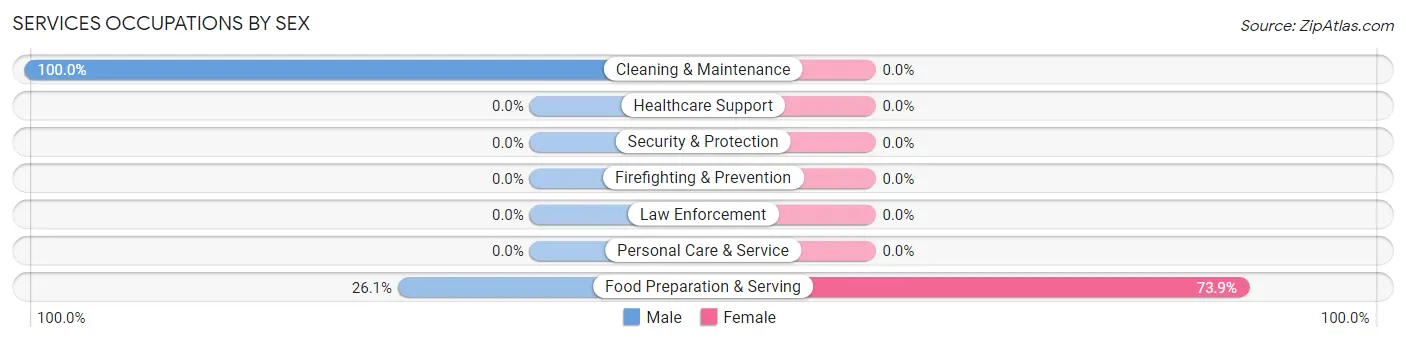 Services Occupations by Sex in Zip Code 21919