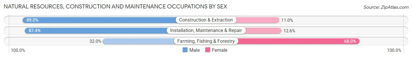 Natural Resources, Construction and Maintenance Occupations by Sex in Zip Code 22026