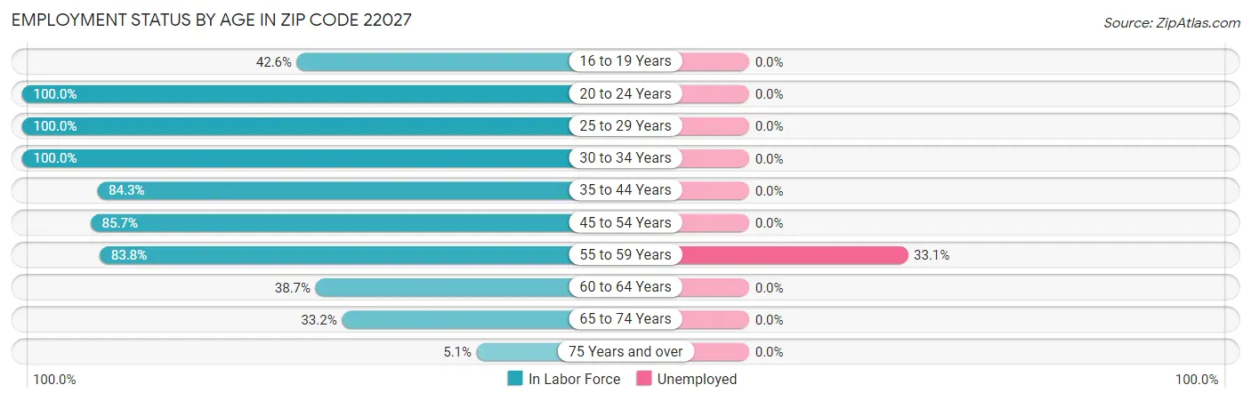 Employment Status by Age in Zip Code 22027