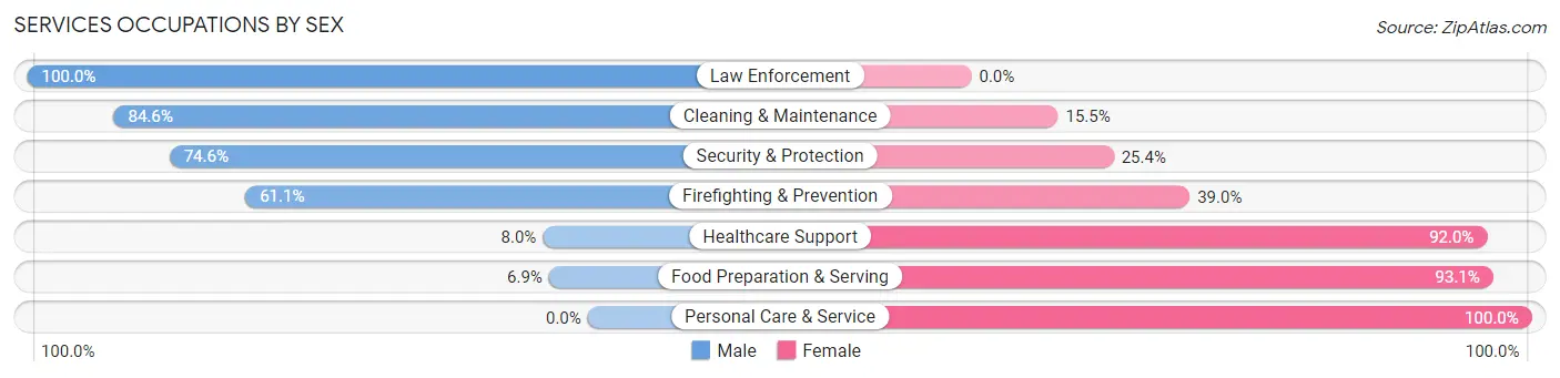 Services Occupations by Sex in Zip Code 22039