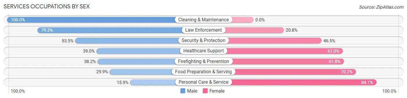 Services Occupations by Sex in Zip Code 22066