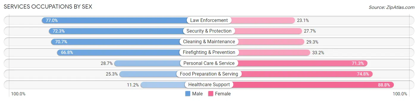 Services Occupations by Sex in Zip Code 22079