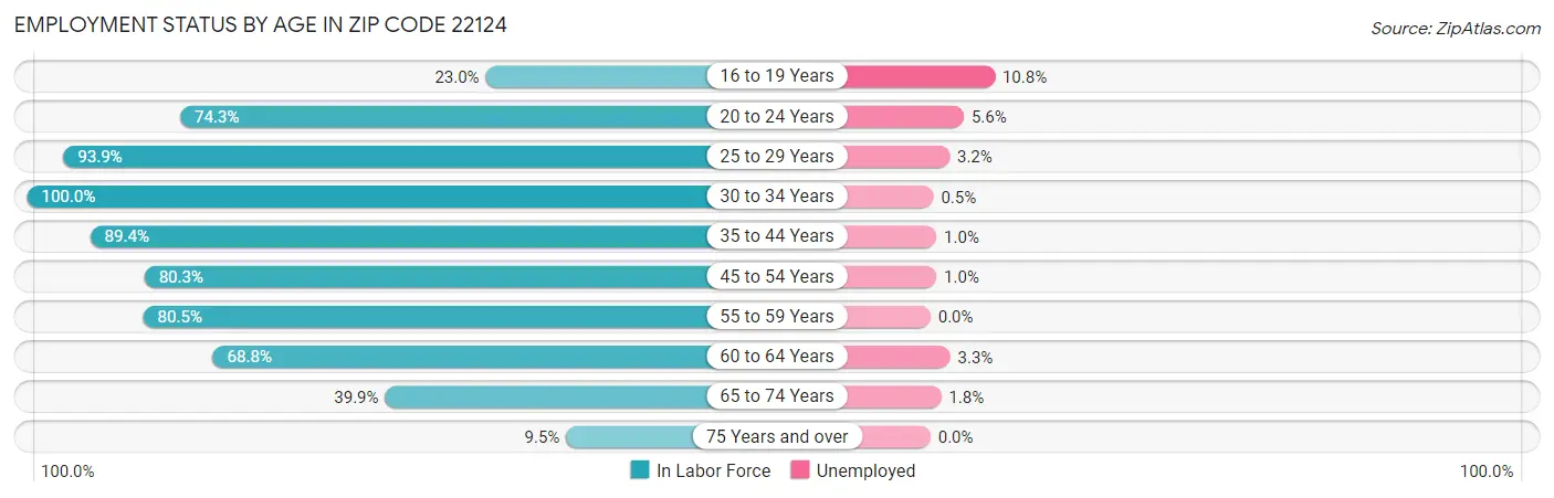 Employment Status by Age in Zip Code 22124