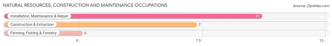 Natural Resources, Construction and Maintenance Occupations in Zip Code 22125