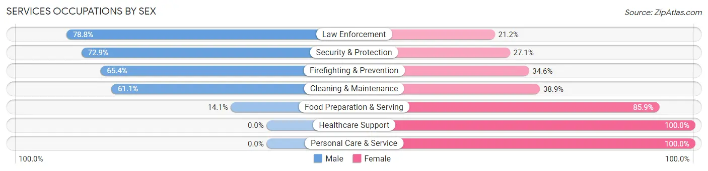 Services Occupations by Sex in Zip Code 22134