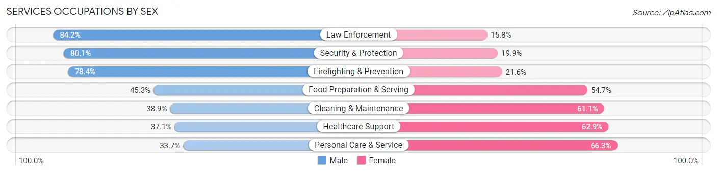 Services Occupations by Sex in Zip Code 22152