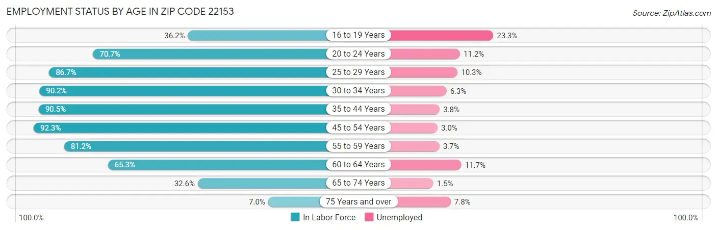 Employment Status by Age in Zip Code 22153