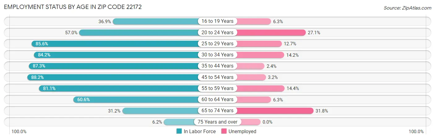 Employment Status by Age in Zip Code 22172