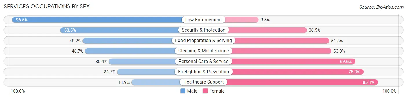 Services Occupations by Sex in Zip Code 22182