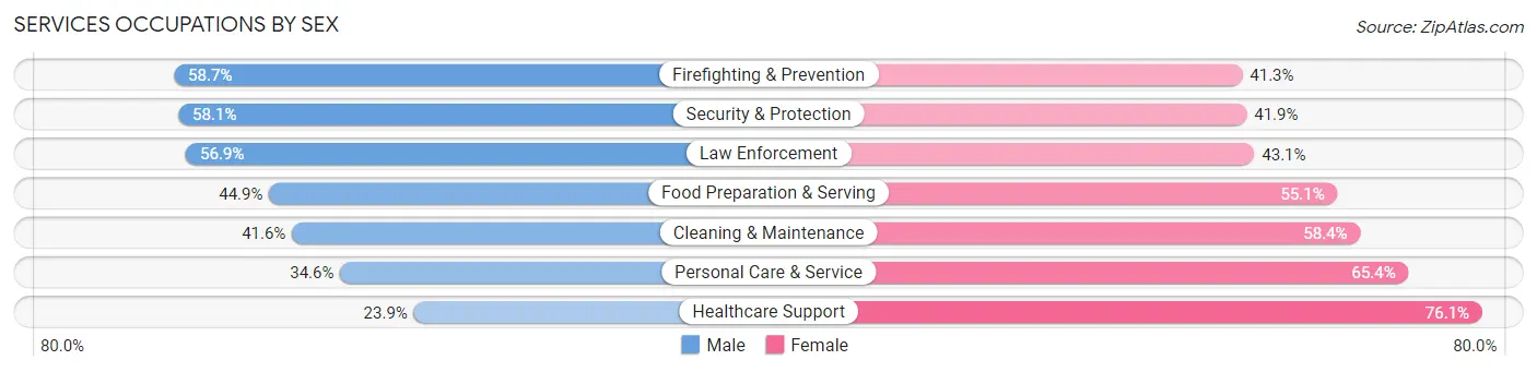 Services Occupations by Sex in Zip Code 22191