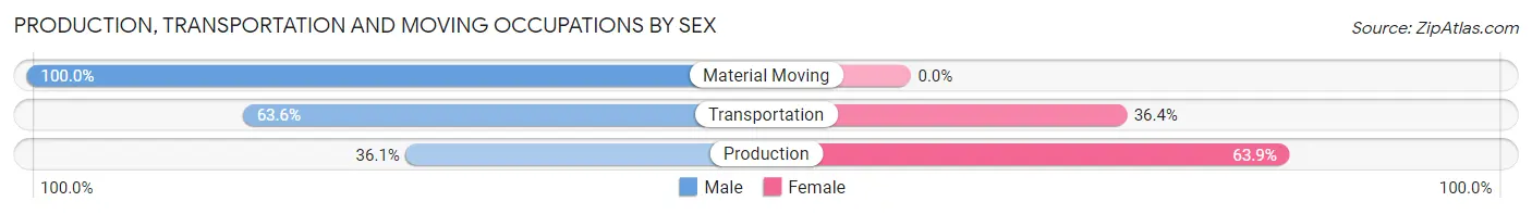 Production, Transportation and Moving Occupations by Sex in Zip Code 22202