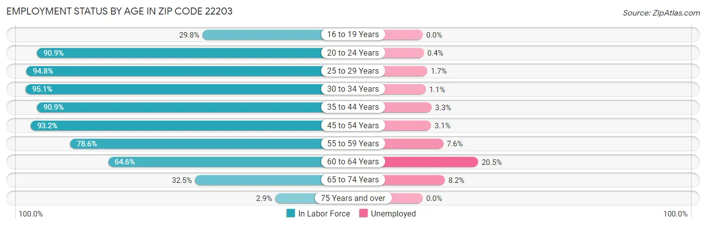 Employment Status by Age in Zip Code 22203