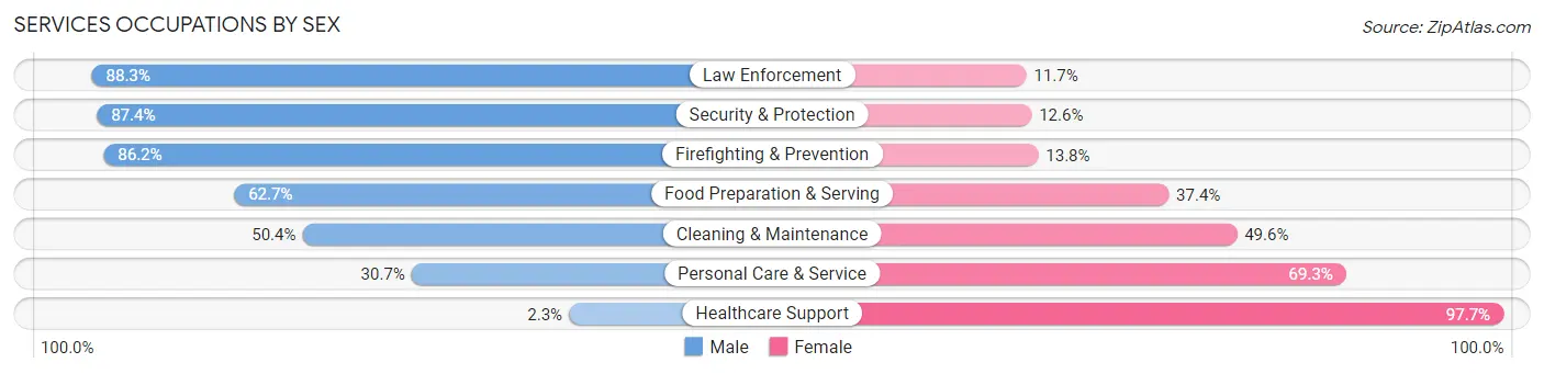 Services Occupations by Sex in Zip Code 22204