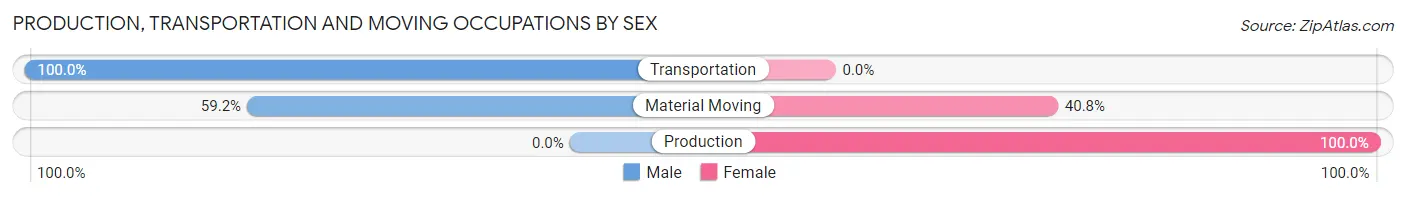 Production, Transportation and Moving Occupations by Sex in Zip Code 22205