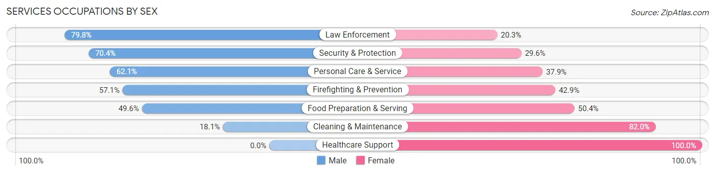 Services Occupations by Sex in Zip Code 22206