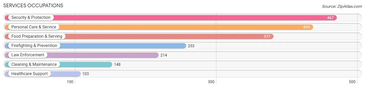 Services Occupations in Zip Code 22207