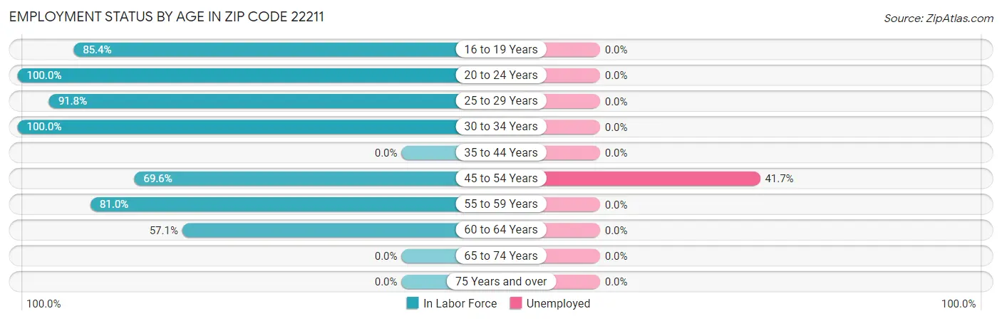 Employment Status by Age in Zip Code 22211