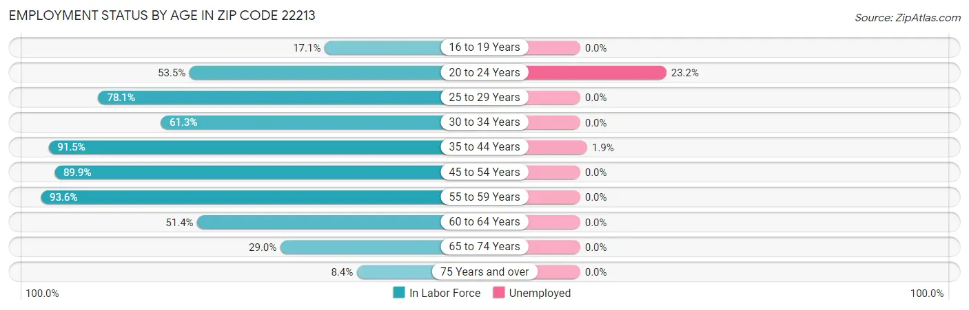Employment Status by Age in Zip Code 22213