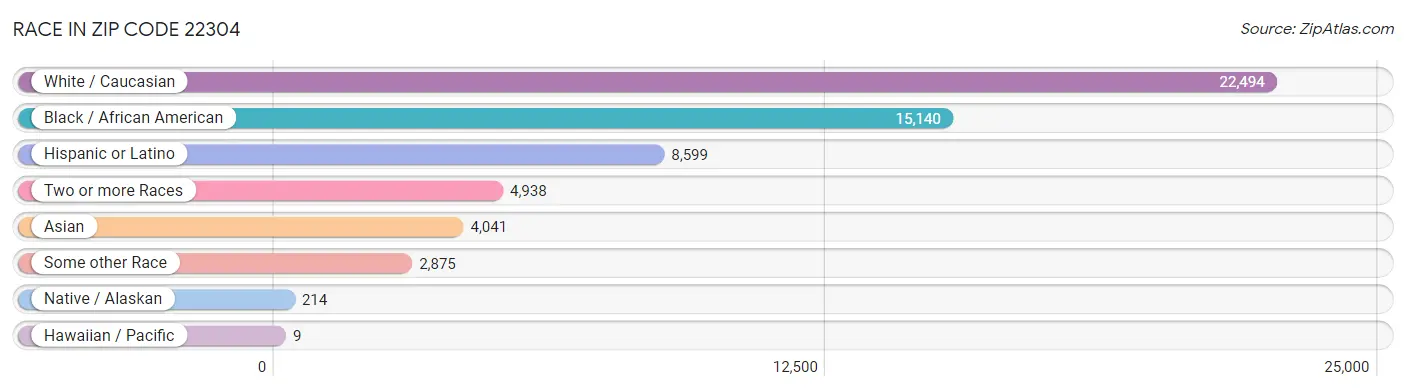 Race in Zip Code 22304