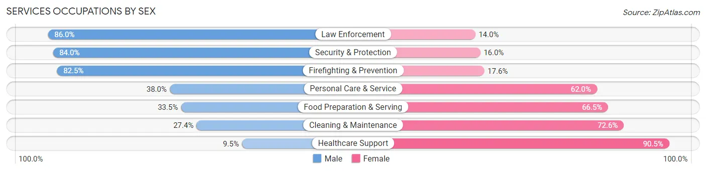 Services Occupations by Sex in Zip Code 22304