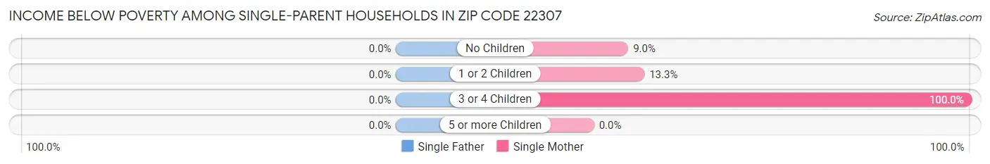 Income Below Poverty Among Single-Parent Households in Zip Code 22307