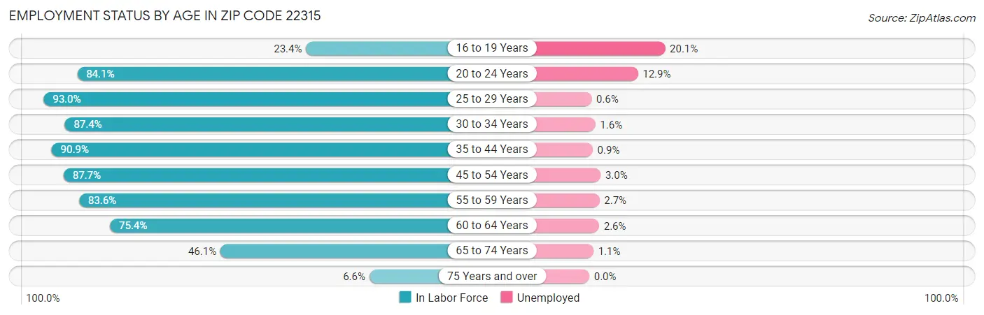 Employment Status by Age in Zip Code 22315