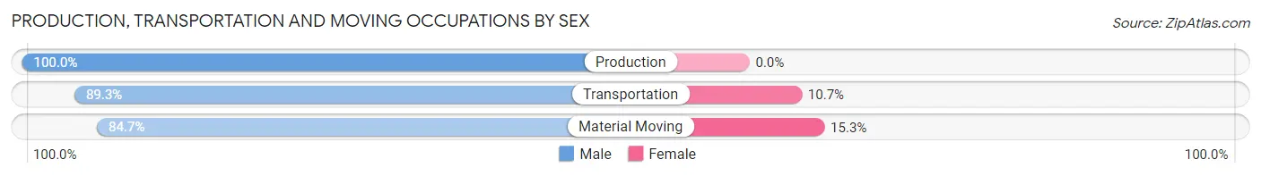 Production, Transportation and Moving Occupations by Sex in Zip Code 22406