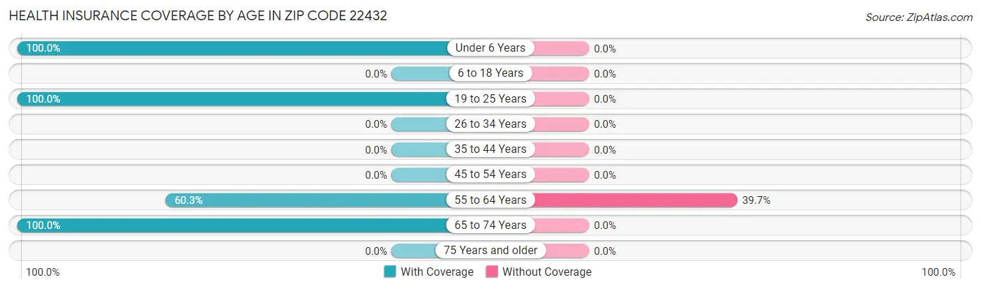 Health Insurance Coverage by Age in Zip Code 22432