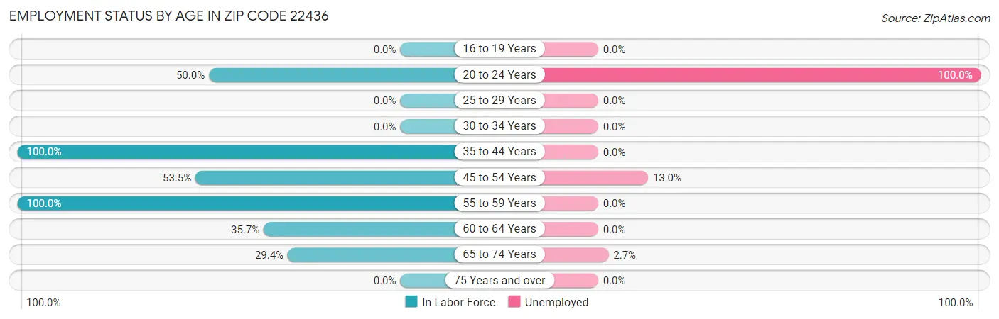 Employment Status by Age in Zip Code 22436