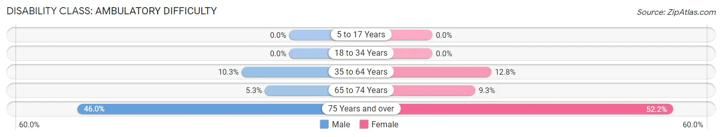 Disability in Zip Code 22443: <span>Ambulatory Difficulty</span>