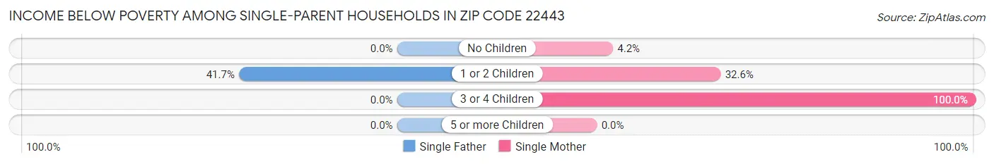 Income Below Poverty Among Single-Parent Households in Zip Code 22443