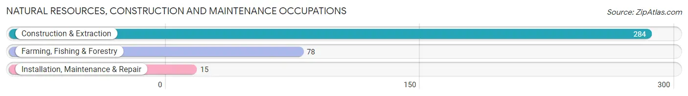 Natural Resources, Construction and Maintenance Occupations in Zip Code 22473